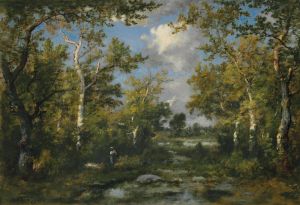 Clairière Dans La Forêt De Fontainbleau