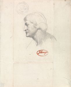 Head of Apollo