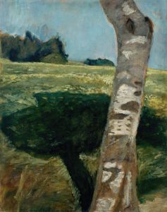 Birch trunk