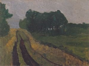Evening landscape