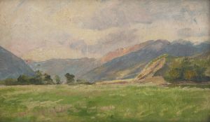 Mountain Meadow