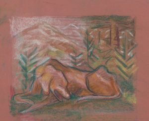 Dog in the Woods
