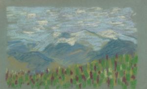 Hilly Landscape