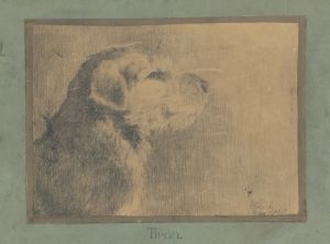 Dog Tirán