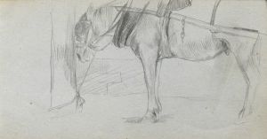 Study of a Horse 2