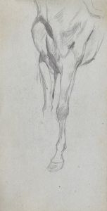 Study of A Horse 4