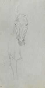 Study of a Horse 5