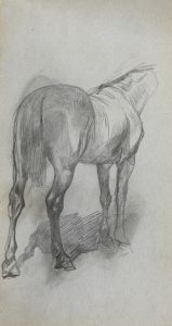 Study of a Horse 6