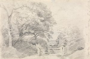 Coombe Wood