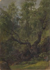 Forest Study from Numedal