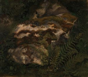 Study of an Moss-covered Stone and Ferns