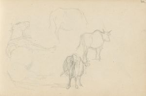 Animal studies