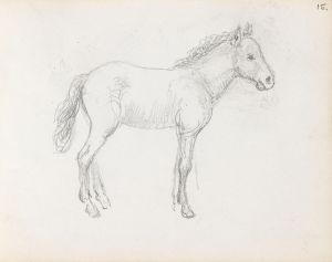 Horse study