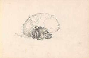 Lying dog