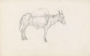 Mules
