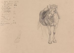 Saddled horse