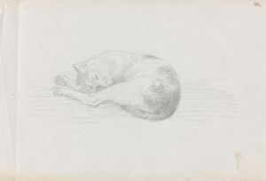 Sleeping cat