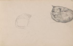Studies of a sleeping cat