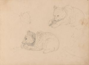 Studies of bear cubs
