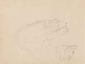 Studies of bears