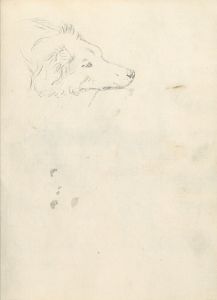 Head of a Dog