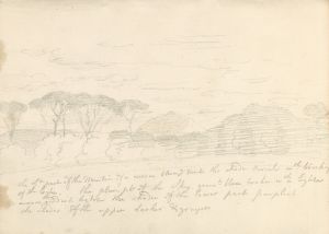 Landscape with Umbrella Pines and Distant Mountain