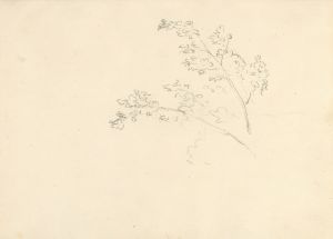 Tree Branches