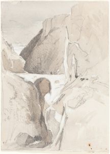 Gorge with Tree Stumps