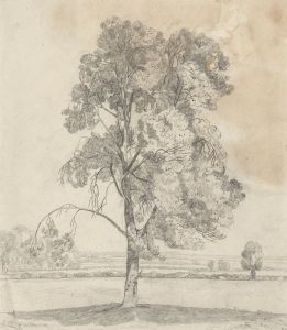 Study of a tree