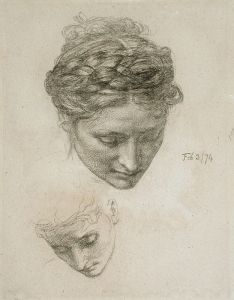 Study of Two Heads