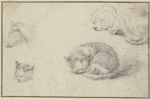 Schlafende Katze und Hund, ein Kuhkopf und ein Katzenkopf