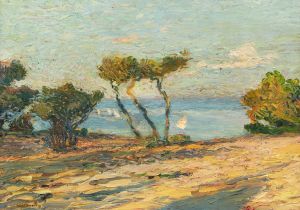 Bord de mer aux pins