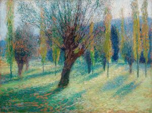 Saules dans la vallée du Vert