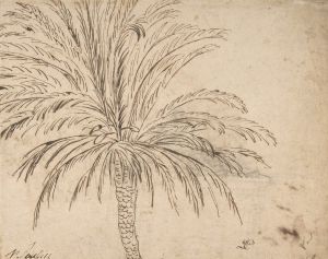 Study of a Palm Tree