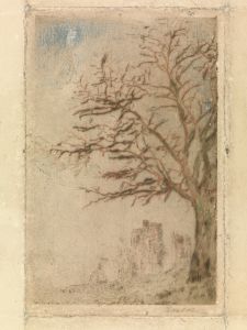 Acacia