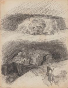 Sleeping Dogs