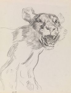 Study of a Wild Animal