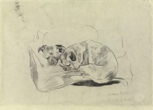Two Dogs