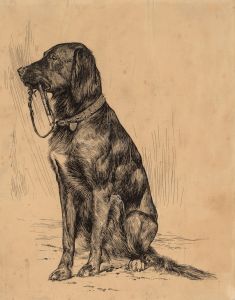 Aldrich’s Dog