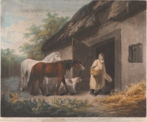 The Horse Feeder