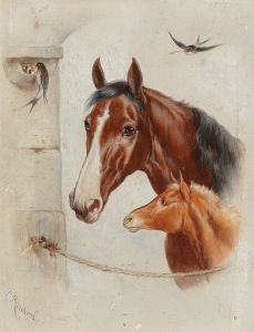 Idyllic Stable Scene