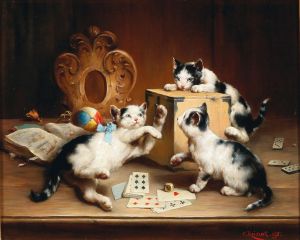 Playful kittens