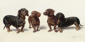 Four Dachshunds