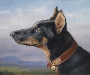 Portrait eines Dobermanns