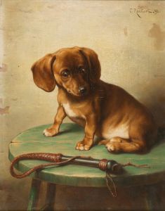 A Dachshund Puppy