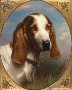 A Hunting Dog