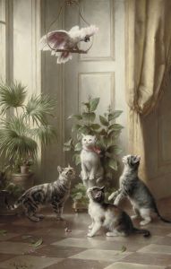 Cats and the cockatoo