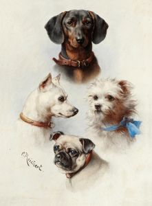 A motley crew