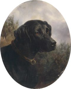 Hector