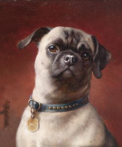 Mops